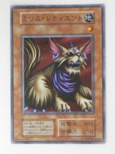 楽天市場】ミセス・レディエントの通販