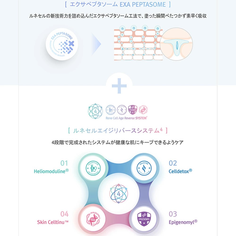 楽天市場】【Rene-Cell】韓国コスメルネセル ハイクロキュー