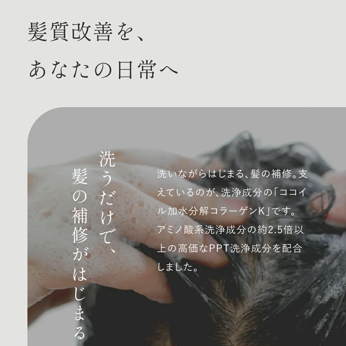 楽天市場】【美容師150名以上がおすすめ】 美容室専売 KUSHE クーシェ
