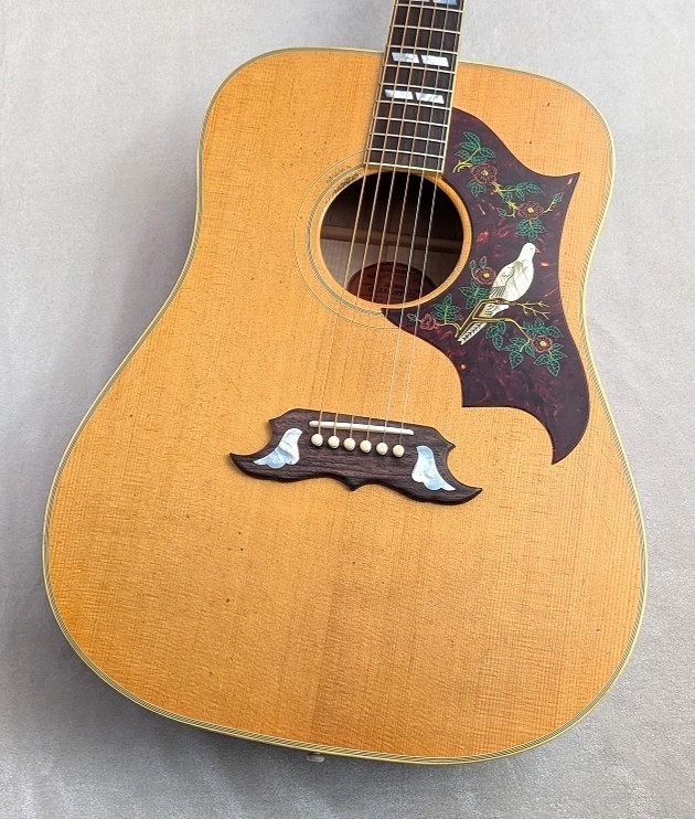 GIBSON DOVE」の人気商品一覧 | 安い商品を通販サイトから探す - 価格.com