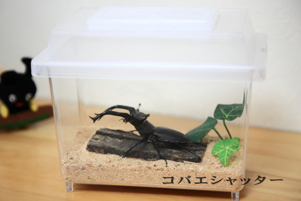 楽天市場】【ミニ・セパレータ付セット】コバエシャッター蓋＋ケース