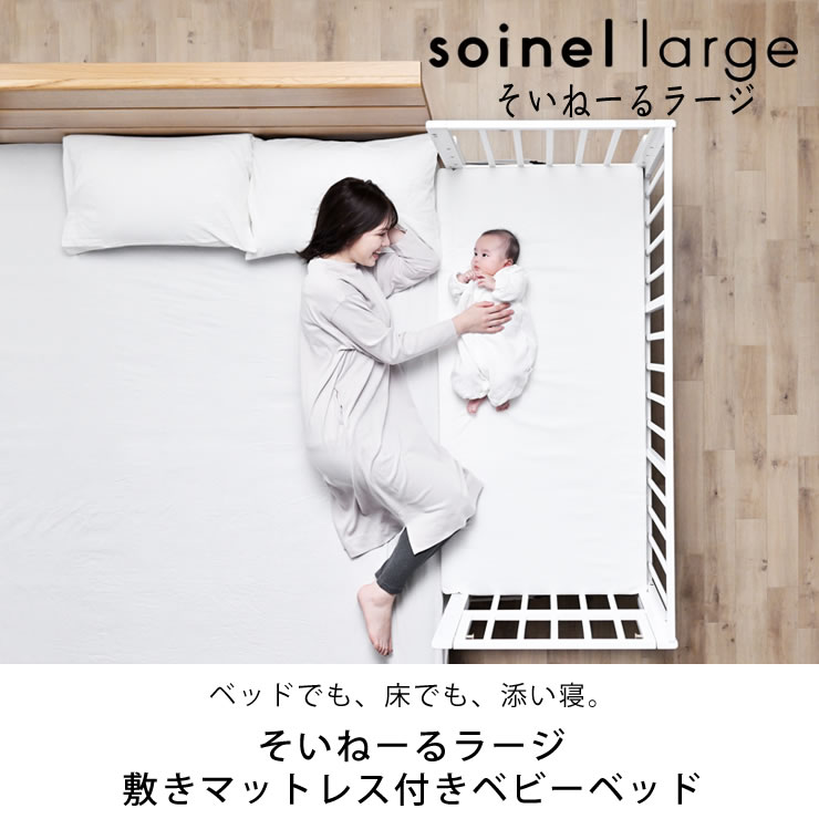 楽天市場】【3/1限定！税込5000円以上購入で500円OFFクーポン】そい