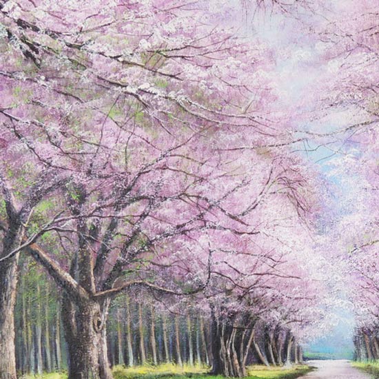 楽天市場】絵画 油絵 二十間道路桜並木 F20号 （木村由記夫） 送料無料