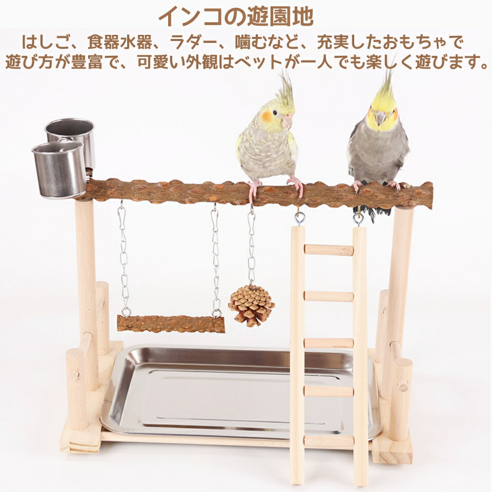 楽天市場】【スーパーSALE限定×10%OFF】インコ 遊び場 インコ おもちゃ