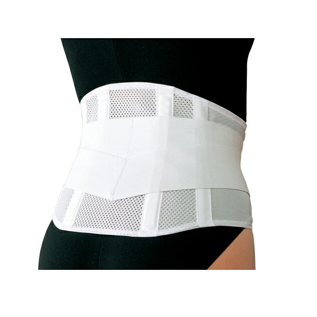 楽天市場】マックスベルトCH コンフォート ホワイト S/M/L/LL/3L