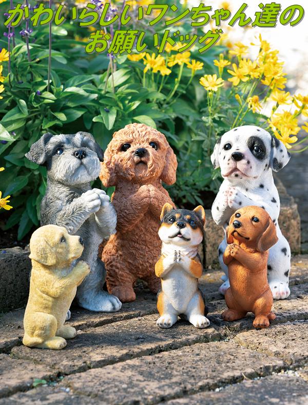 楽天市場】【入荷未定】エイチツーオー HT7369 お願いドックL フレンチ