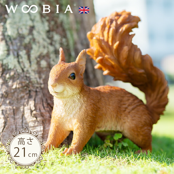 楽天市場】何かを見つけたリス《 キタリス（21cm）》〔 WOOBIA