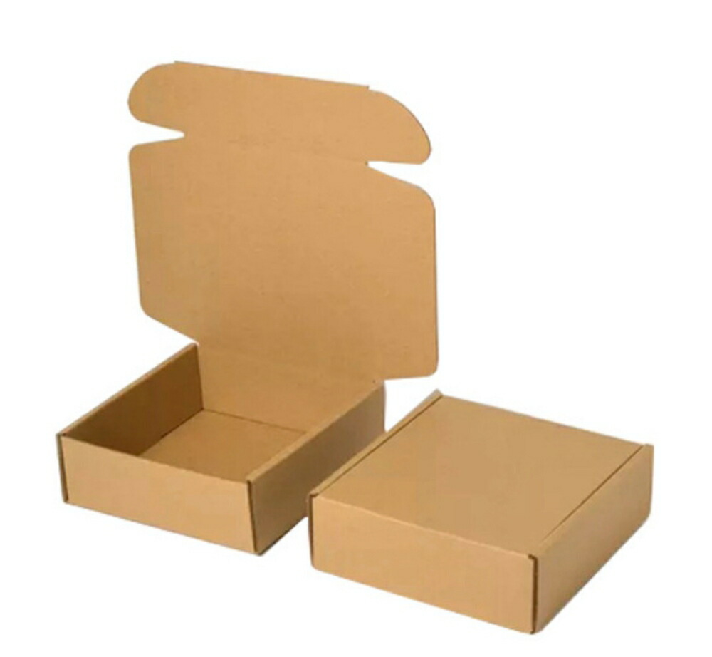 楽天市場】ダンボール 10枚セット 30×20×10cm 段ボール 箱 クラフト