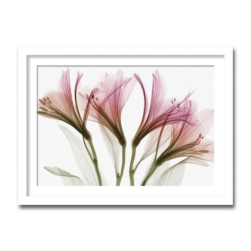 楽天市場】【スーパーセール価格】 アートパネル X-rey 写真