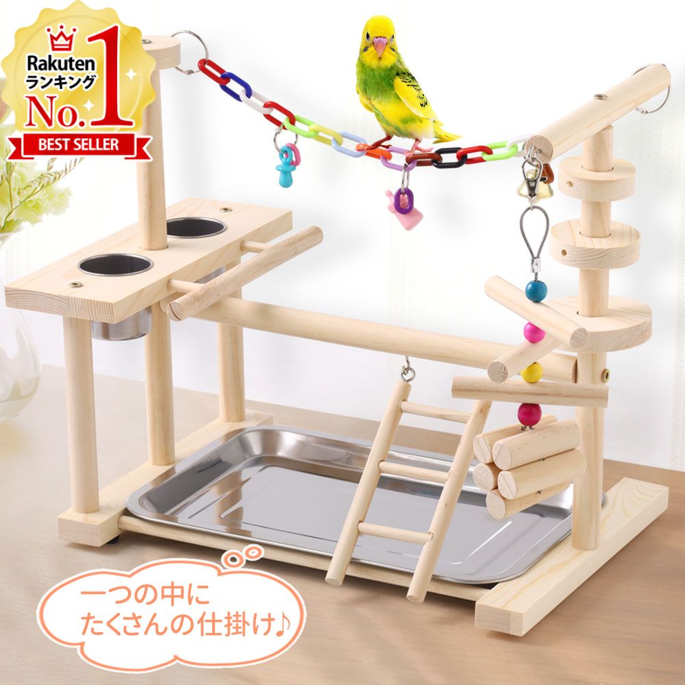 楽天市場】【LINE登録ですぐ使えるクーポン配布中】 インコ オウム