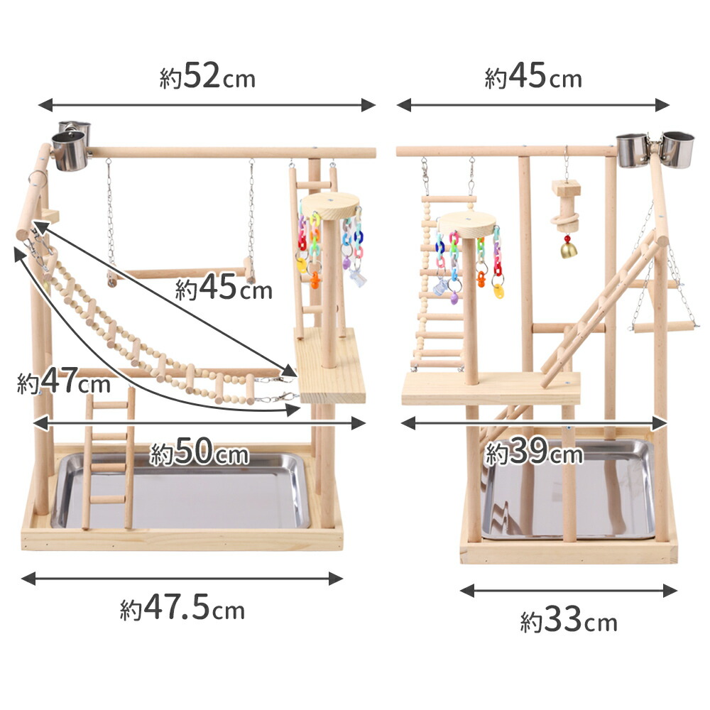 楽天市場】【半額&5%OFFクーポン配布3/1 利用条件あり】 インコ