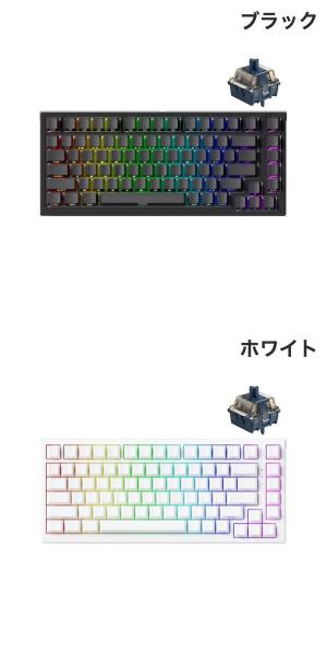 楽天市場】【国内正規品】Akko TAC75 HE Astrolink Magnetic 英語配列
