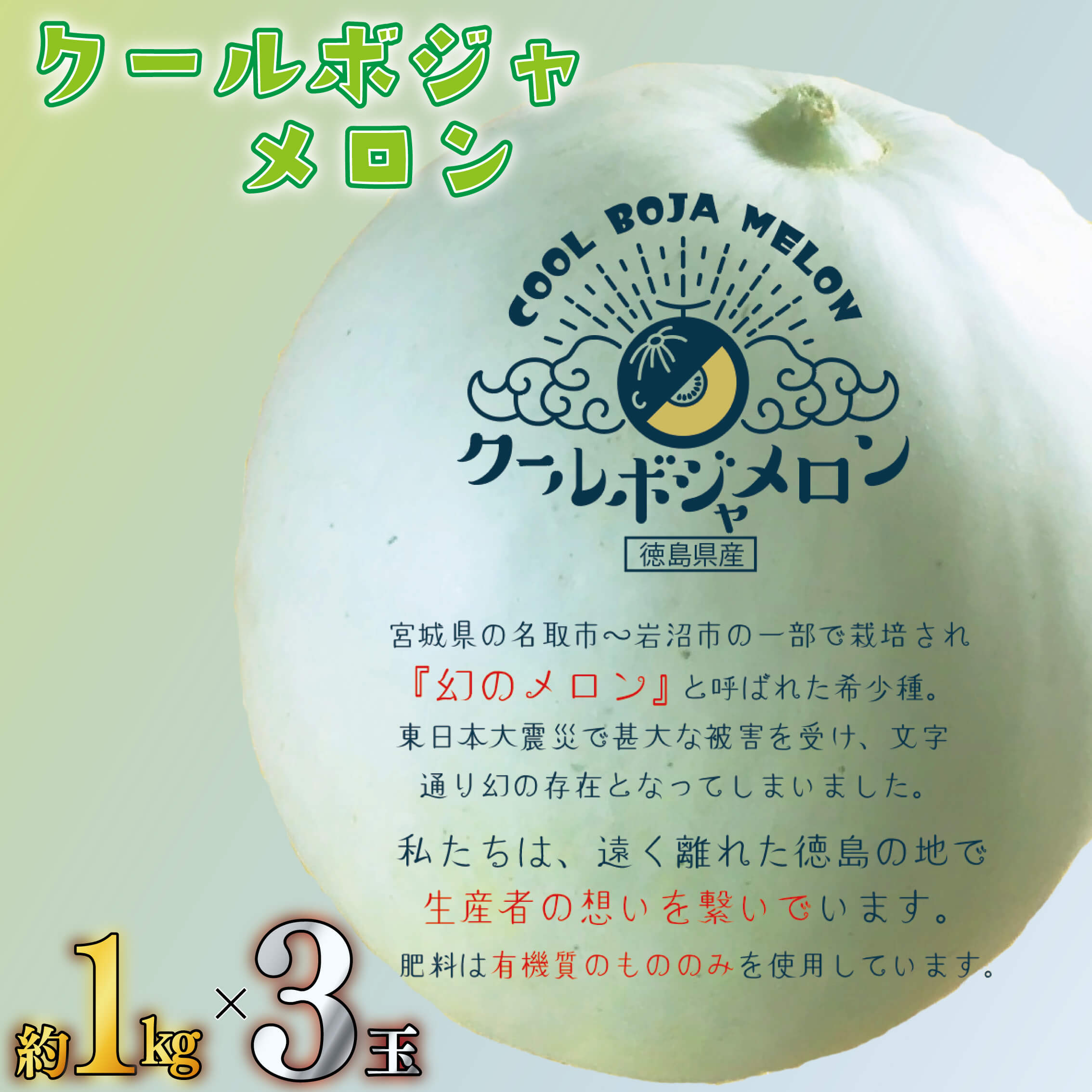 楽天市場】【予約商品・6月下旬から出荷予定】クールボジャメロン 約