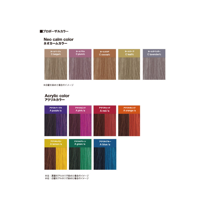 楽天市場】ナカノ キャラデコ プロポザールカラー【アクリルカラー