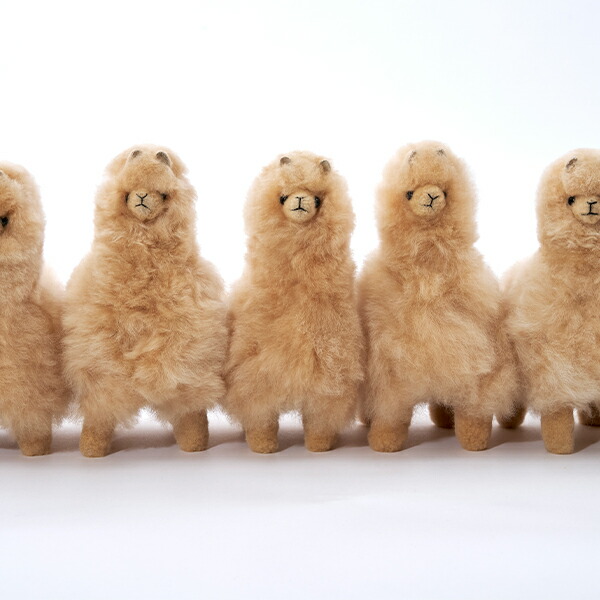 楽天市場】エルヴァン ELVANG アルパカ テディ ぬいぐるみ / 20cm
