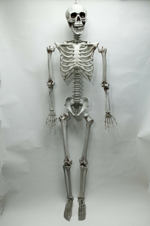 楽天市場】等身大骸骨 (プラスチック製) (720465)ガイコツ
