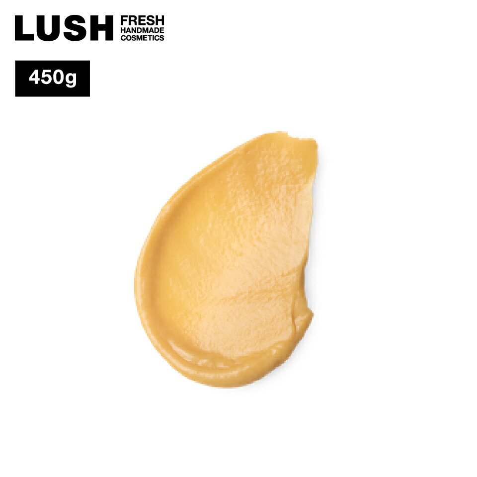 lush コンディショナー」の人気商品一覧 | 安い商品を通販サイトから