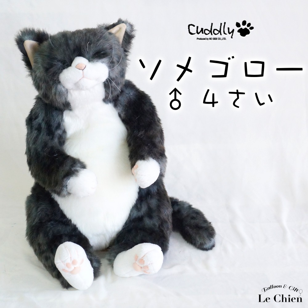 楽天市場】ぬいぐるみ 猫 【わさ美Wasabi】Cuddly カドリー）こだわり