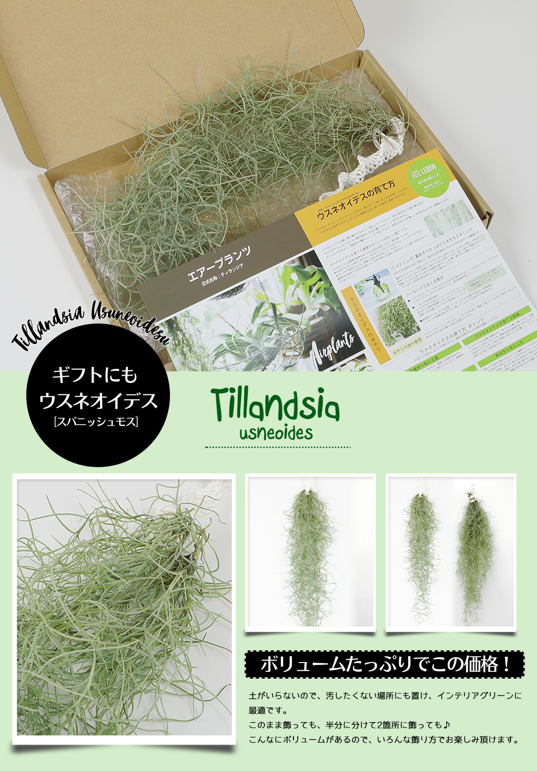 楽天市場】【お買い物マラソン】☆予約☆1000円ポッキリ！【期間限定