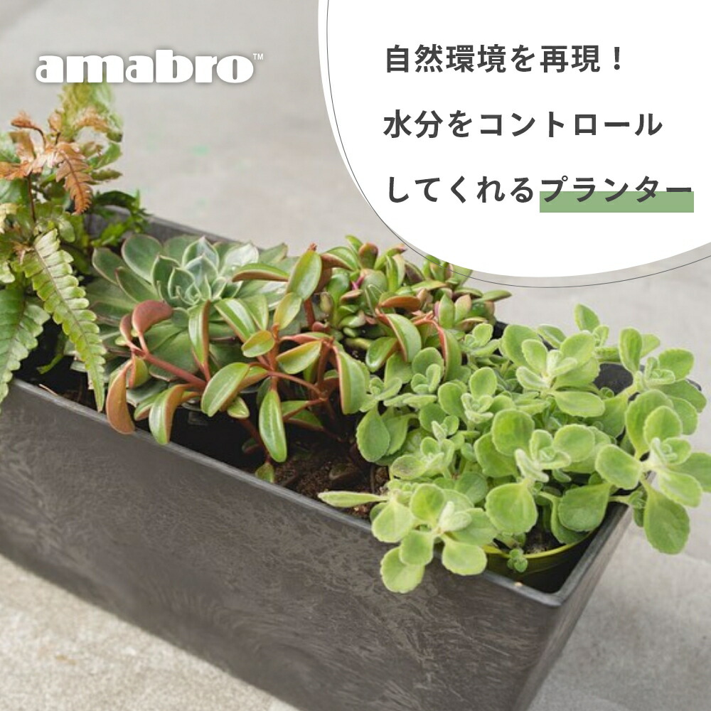 楽天市場】【レビュー特典】amabro アマブロ アートストーン 鉢 植木鉢
