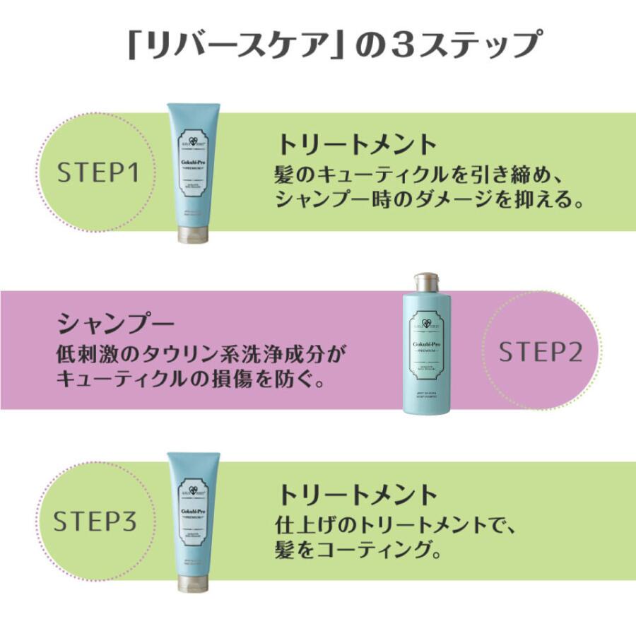 楽天市場】ゴクビプロ PREMIUM スカルプケア セット シャンプー2個