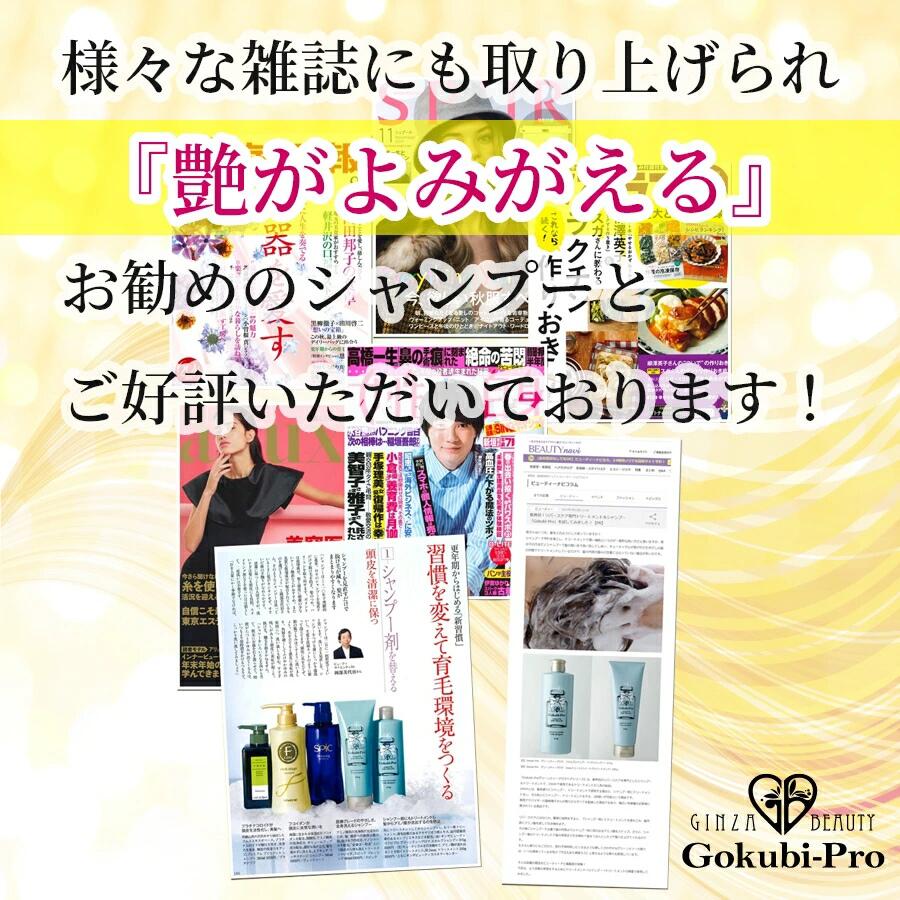 楽天市場】ゴクビプロ PREMIUM スカルプケア セット シャンプー2個