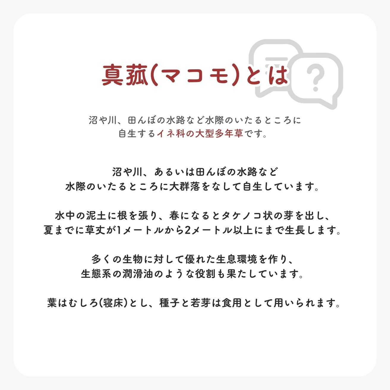 楽天市場】マコモレジェンドプラス 150g : リプリ 楽天市場店