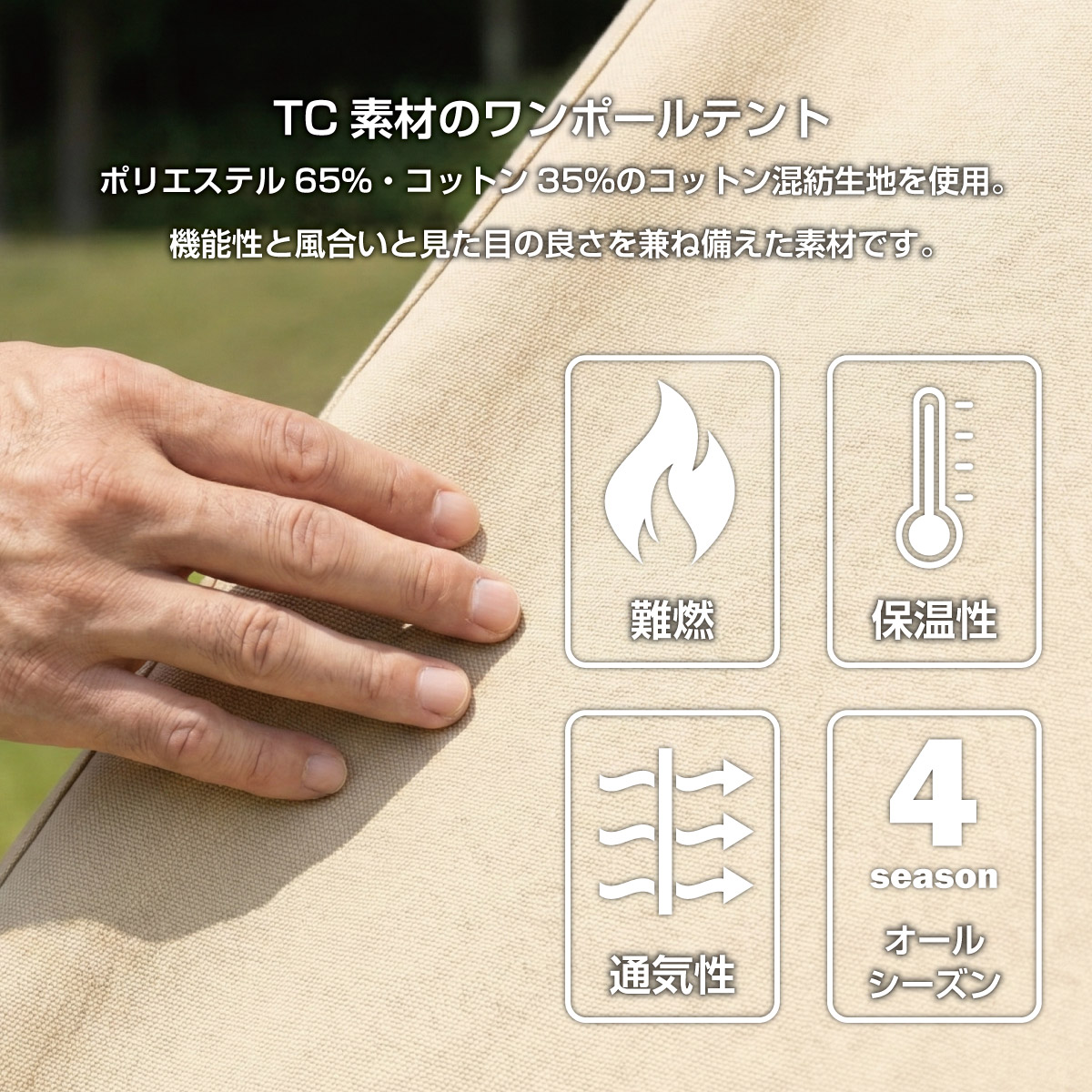 楽天市場】【在庫処分】【訳あり】【特価品】【送料無料】ソロティピー