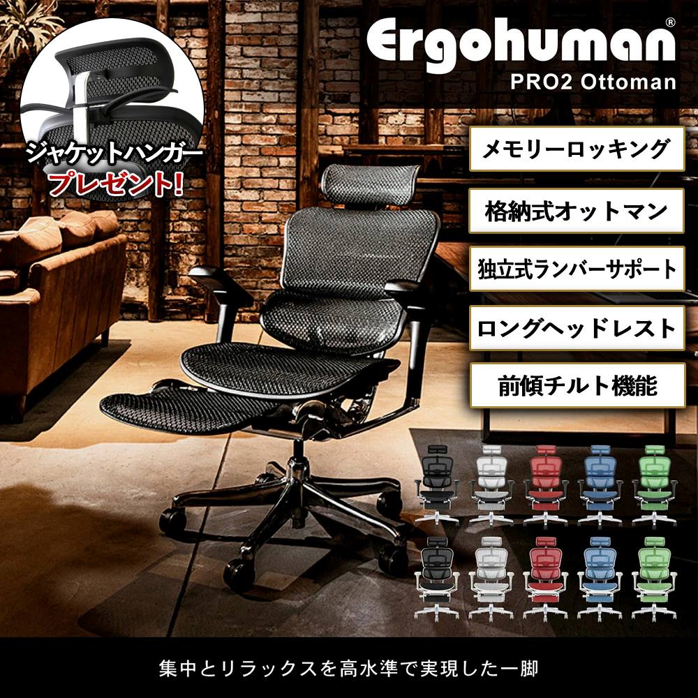 楽天市場】【P3倍3/1 13-15時&最大1万円ｸｰﾎﾟﾝ3/1】 エルゴヒューマン