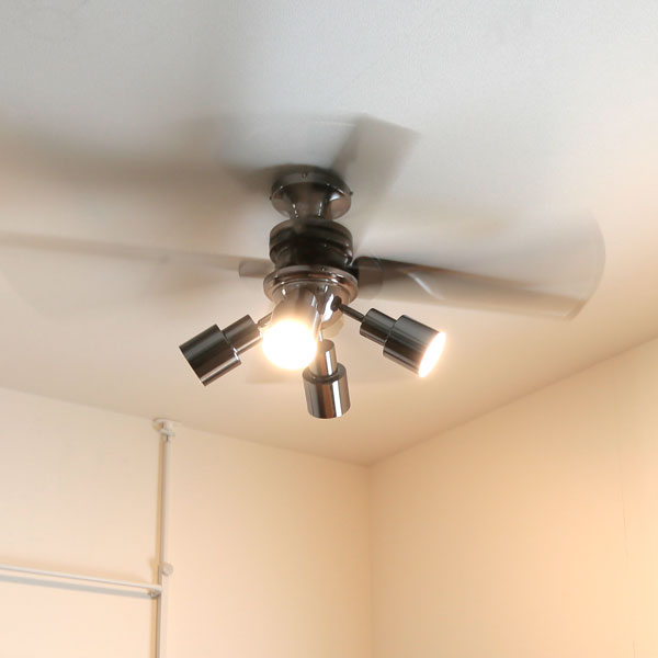 楽天市場】[楽天スーパーSALE! 3/4 20:00 - 3/11 1:59] シーリング