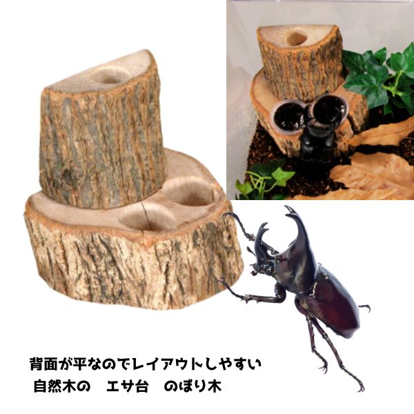 楽天市場】クワガタ洞付き登り木の通販