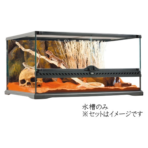 グラステラリウム6030 爬虫類」の人気商品一覧 | 安い商品を通販サイト