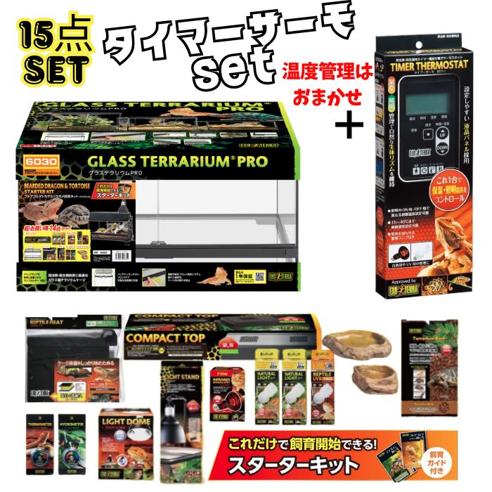 楽天市場】沖縄県は送料別途【フトアゴヒゲトカゲリクガメ飼育セット＋