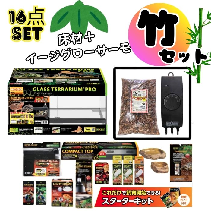 楽天市場】【フトアゴヒゲトカゲリクガメ 飼育セット竹】PRO初心者向け