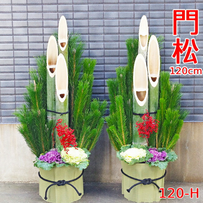 楽天市場】【12/29〜31の間にお届けです】迎春用門松 120-H 120cm