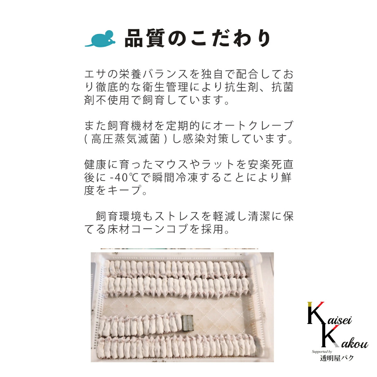 楽天市場】「リタイア 45匹 Biokimia 」 約10cm 40g+ 冷凍マウス 冷凍