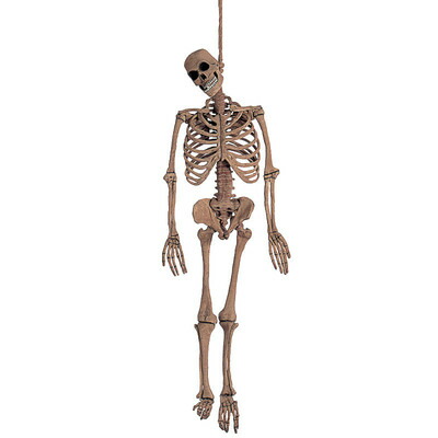 楽天市場】150cm(5ft)ラテックス スケルトン 【 スカル ドクロ