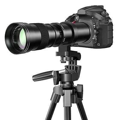 楽天市場】nikon d5500 望遠レンズの通販
