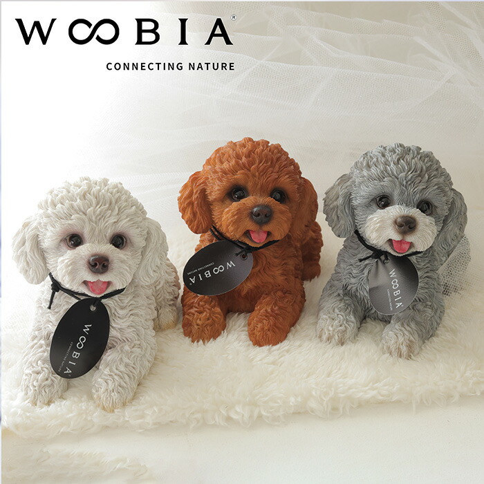 楽天市場】トイプードル わんこ置物 インテリア WOOBIA トイプー