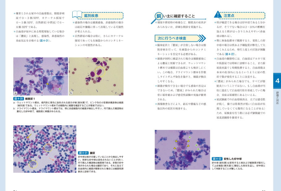 楽天市場】サッとわかる！ 犬と猫の尿・糞便検査 ペット 本 書籍 動物