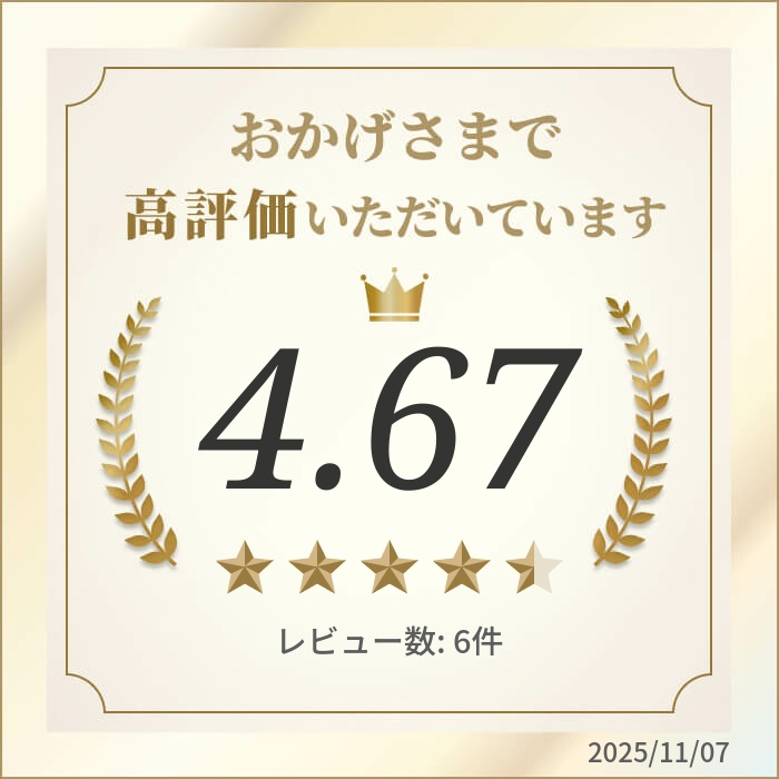 楽天市場】ファイテン ハードコートチタンブレス メタックス スリム