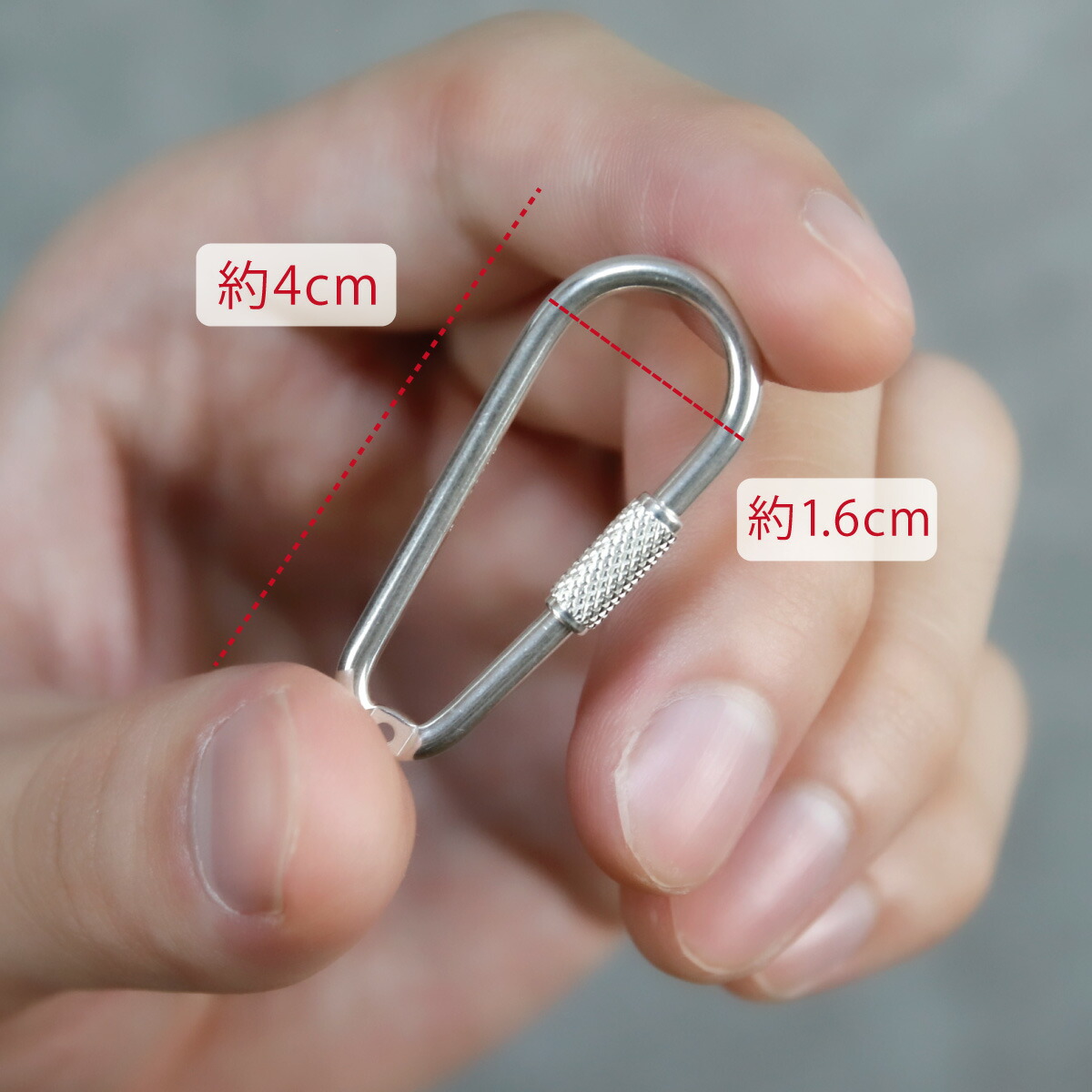 楽天市場】カラビナ キーホルダー シルバー925 ナス型 ネジ式
