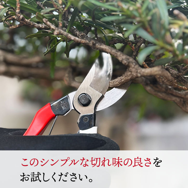 楽天市場】[エントリーでP+5倍] 【切れ味が凄い】 岡恒(Okatsune) 剪定