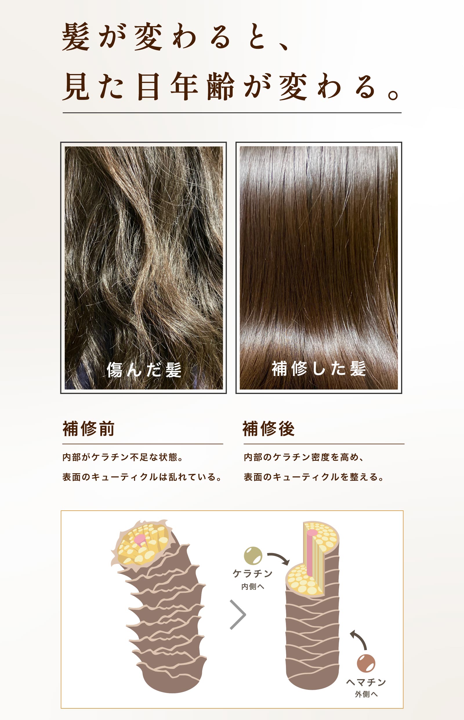 楽天市場】【公式】【セット割】プリュムシャンプー＆トリートメント