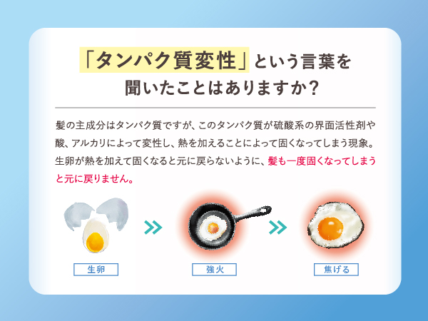 楽天市場】シャンプー & トリートメント セット 公式 fuettarich