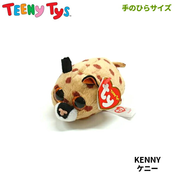 楽天市場】【TY】 俵型ぬいぐるみ 【TEENy Tys】 KENNY ケニー