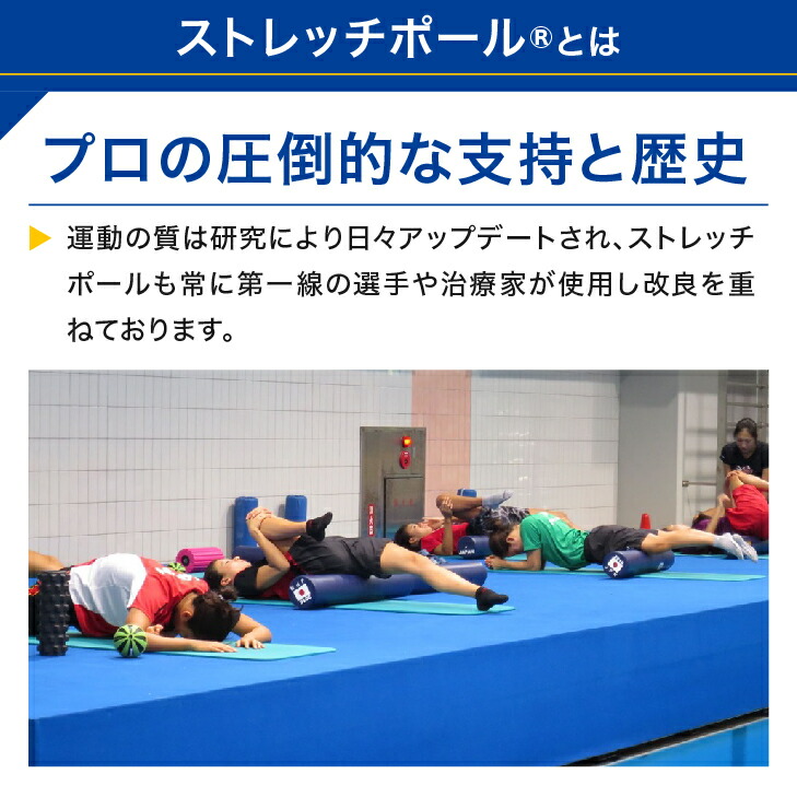 楽天市場】LPN ストレッチポールEX(ネイビー) スタートBOOK
