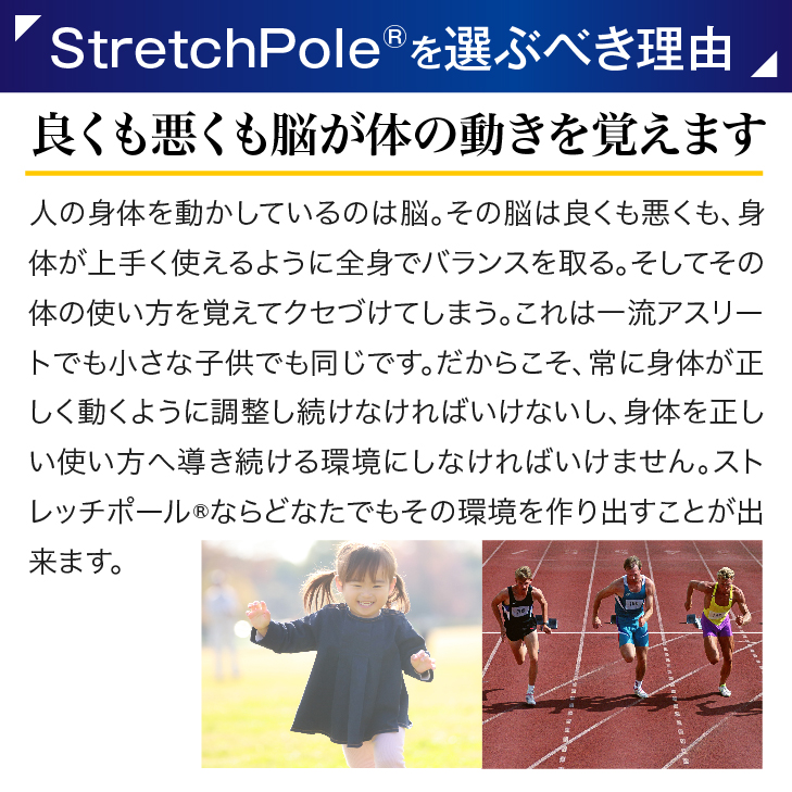 楽天市場】LPN ストレッチポールEX(ネイビー) スタートBOOK