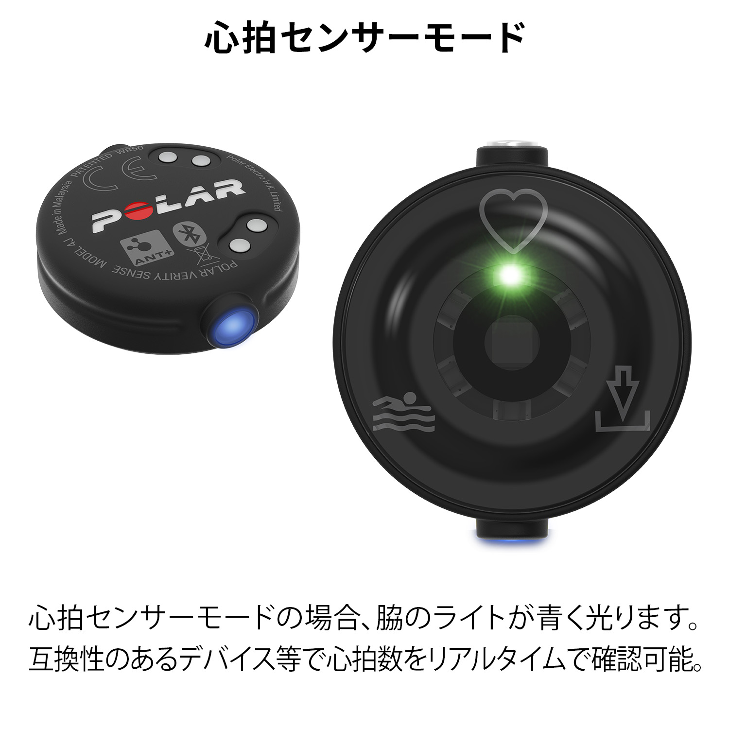 楽天市場】【ポラール公式ストア】Polar Verity Sense 光学式 腕 心拍