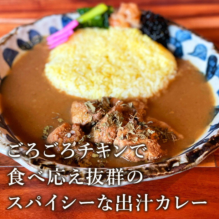 楽天市場】【C配送】スパイスカレー 元祖エレクトロニカレー 出汁